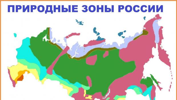 Природная зона степи России: где находится, карта, климат, почвы, флора и фауна IV